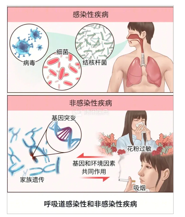 寒潮來襲......今年為何不正常？