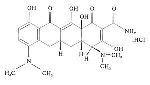 1724900166443724.jpg 4.jpg